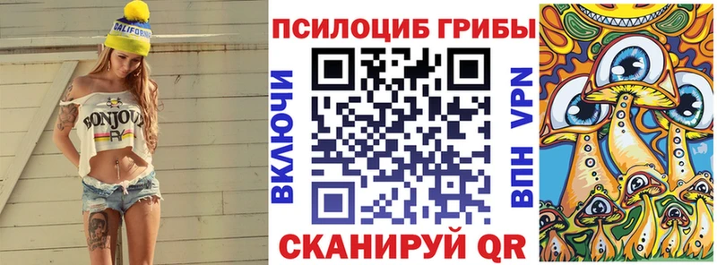 Купить где  Шахунья  Галлюциногенные грибы Magic Shrooms 